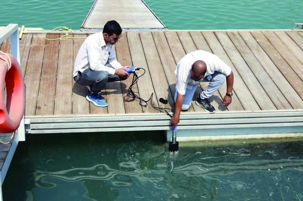 






فرق البيئة خلال الجولات التفتيشية                           (مكة)