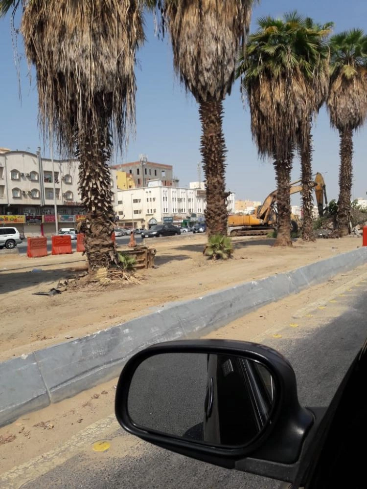 معدات الأمانة خلال إزالة الأشجار على طريق الأربعين (مكة) 