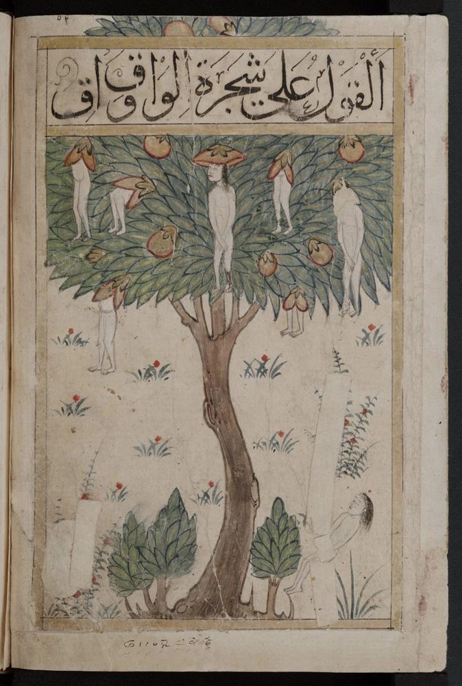 مخطوطة كتاب البلهان