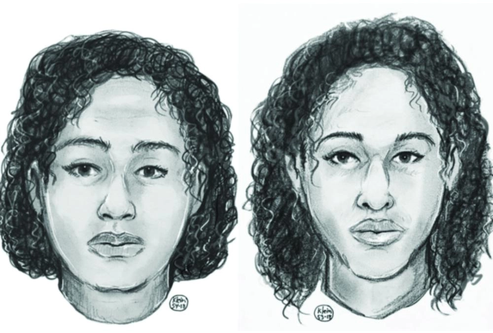 






رسمة للفتاتين نشرتها شرطة نيويورك