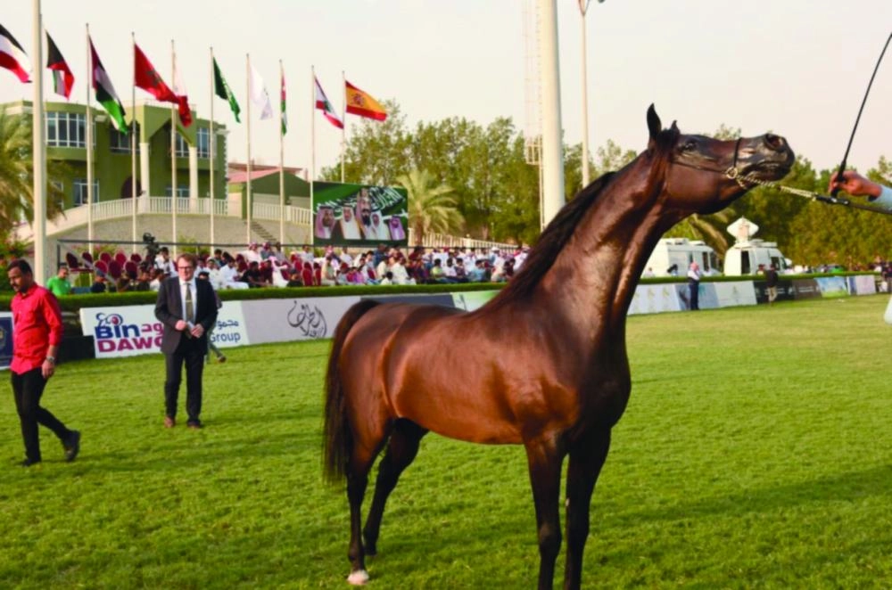 من الاستعدادات للبطولة  (واس)