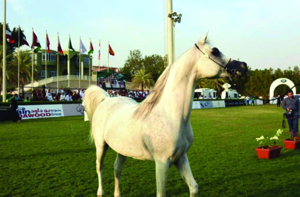 من الاستعدادات للبطولة  (واس)