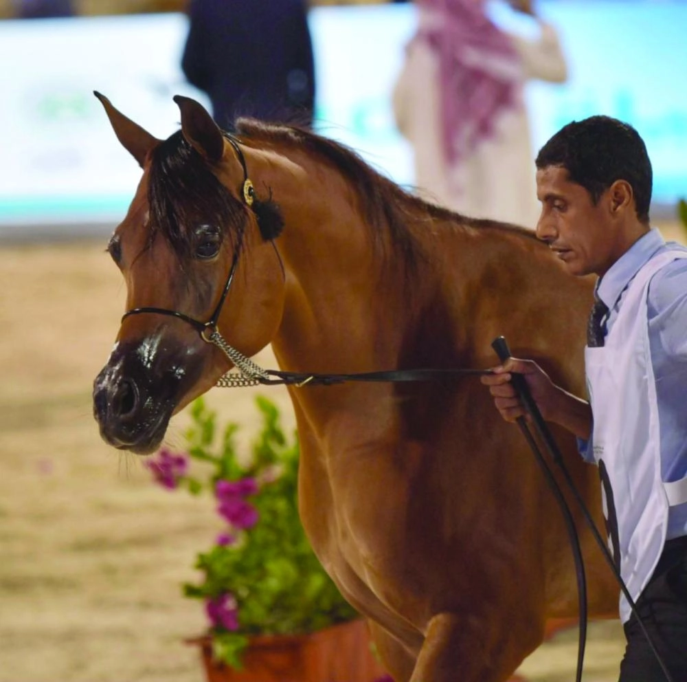 من الاستعدادات للبطولة  (واس) 