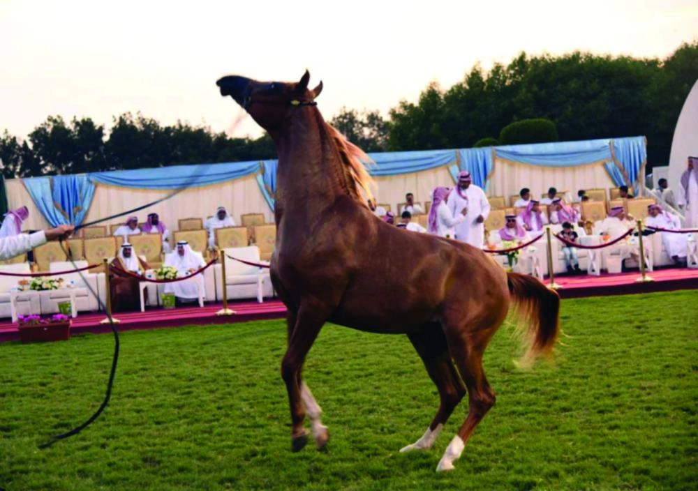 من الاستعدادات للبطولة  (واس) 