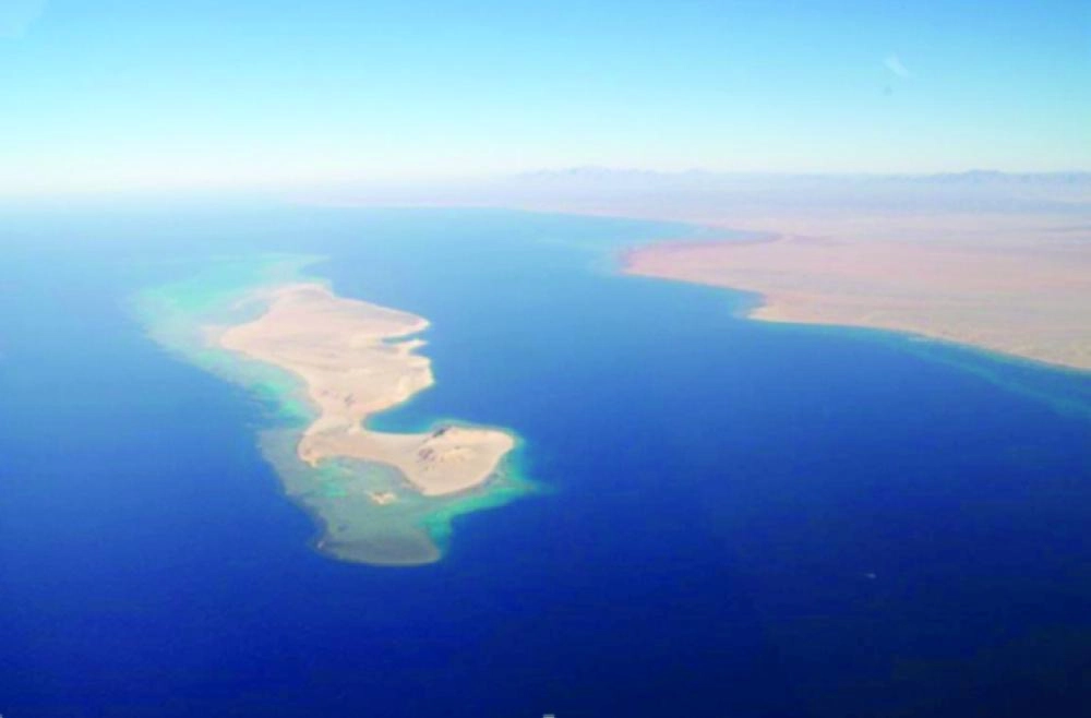 من مشروع أمالا