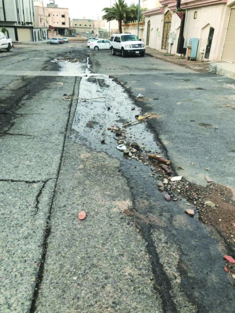 حي البدراني بالمدينة المنورة (مكة)