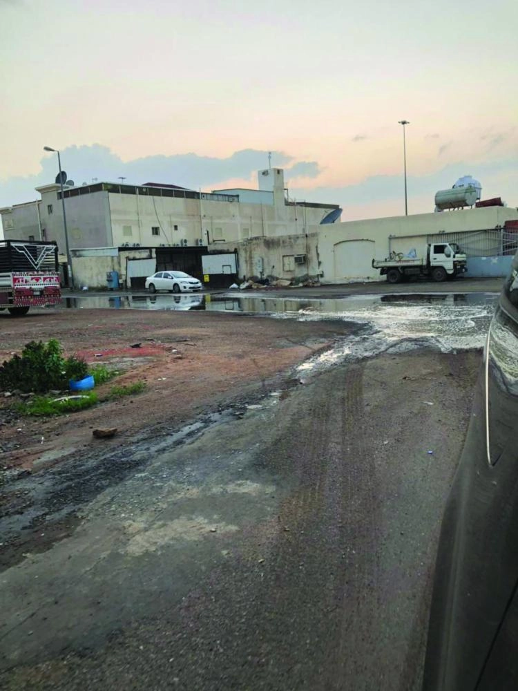 حي البدراني بالمدينة المنورة (مكة)