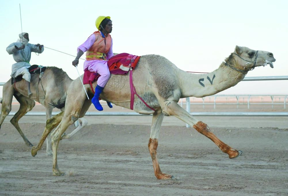 






من سباق الهجن في مهرجان الجنادرية