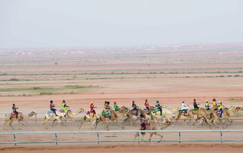 DST_4839470_Thu18_1111494322