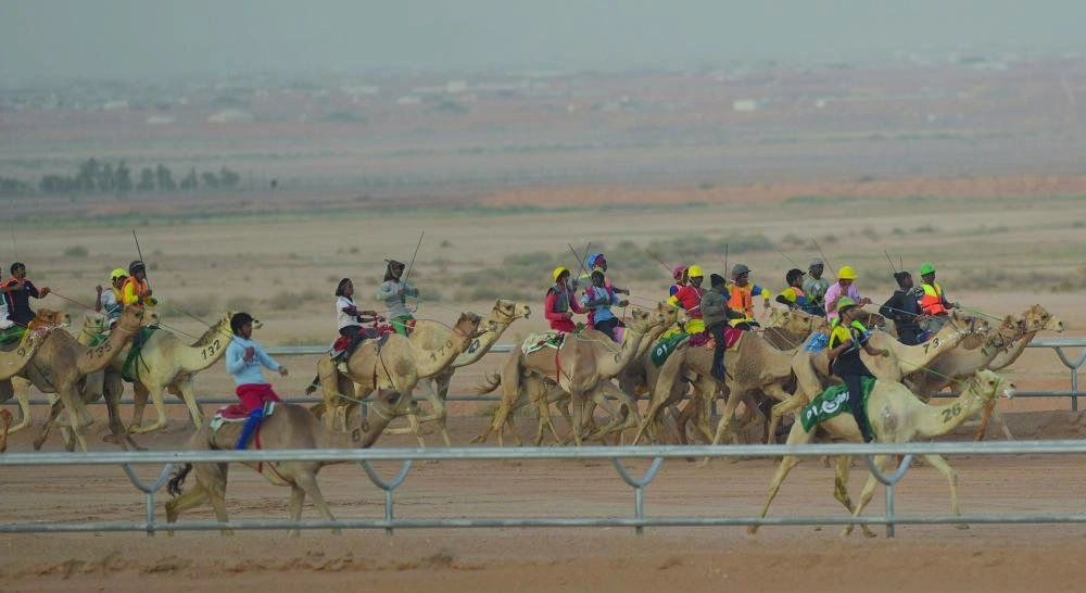 DST_4839457_Thu13_111162338