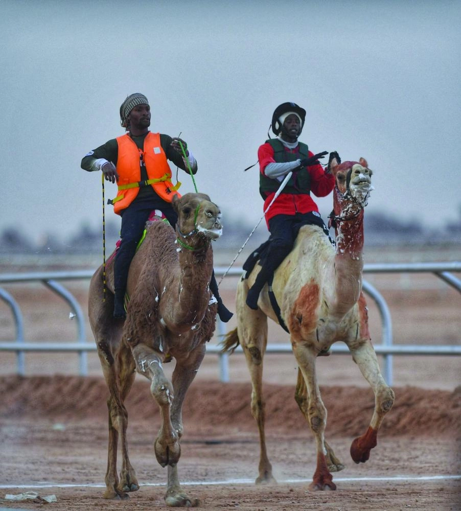 DST_4839458_Thu12_1111976966