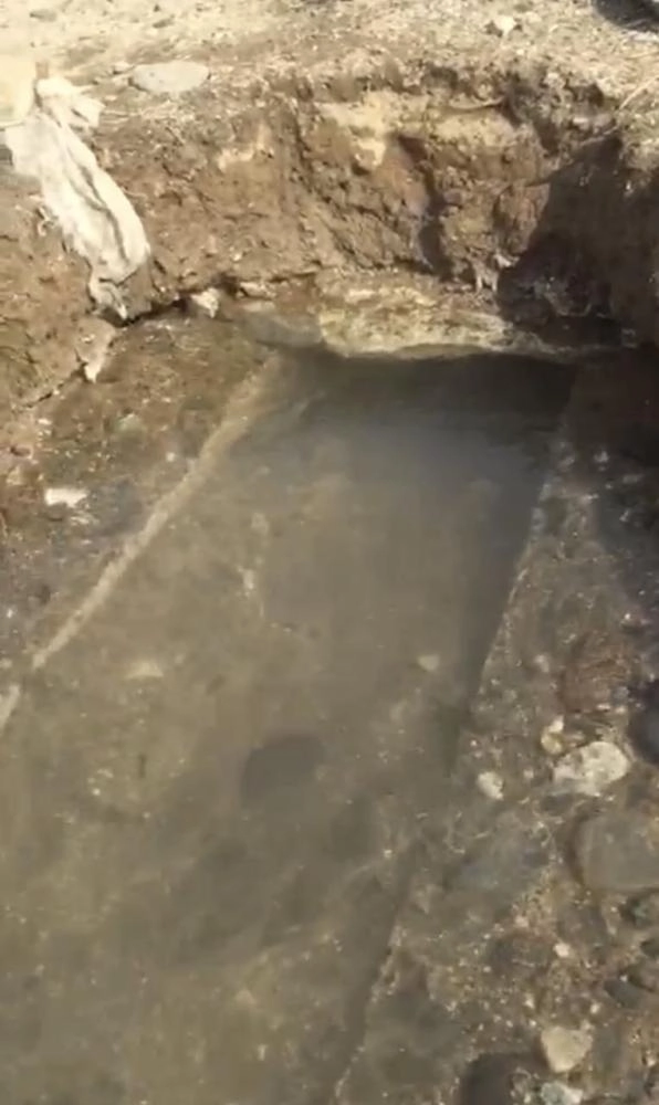 عين الشرائع 