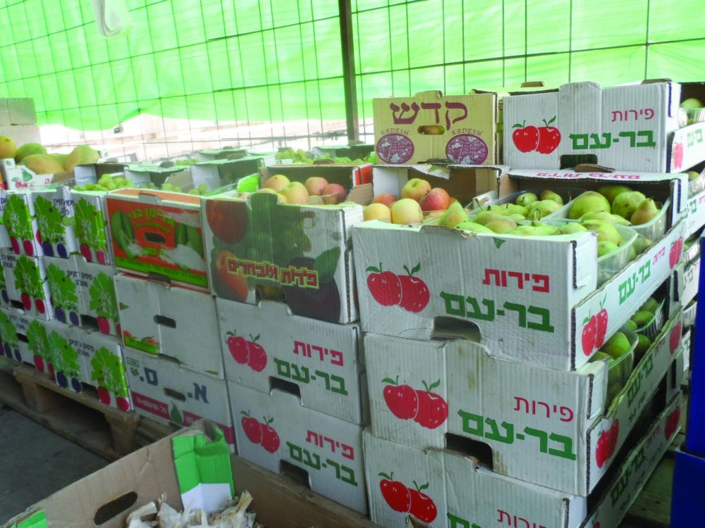 






فواكه إسرائيلية معدة للتصدير           (تويتر)