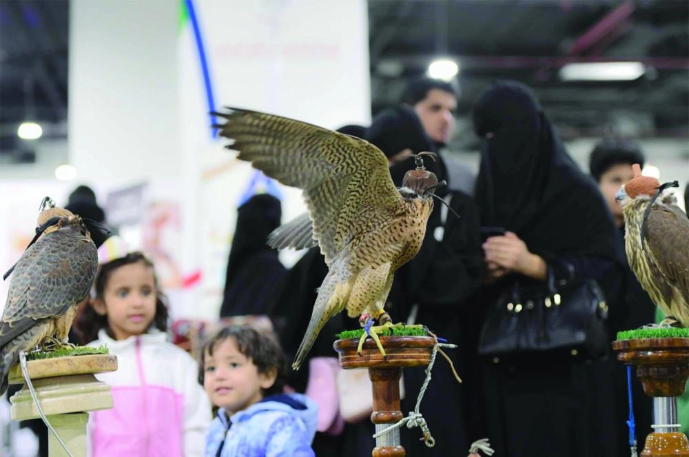 DST_4870009_Fri48_111175291