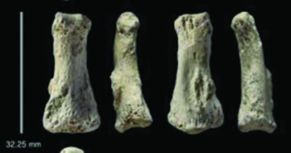 حفرية إصبع تعود إلى نحو 90 ألف عام في صحراء النفود