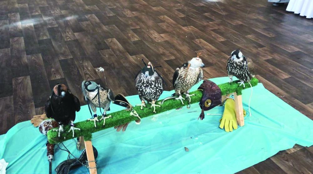 






فحص مطابقة الصقور للشروط                                                                                (واس)