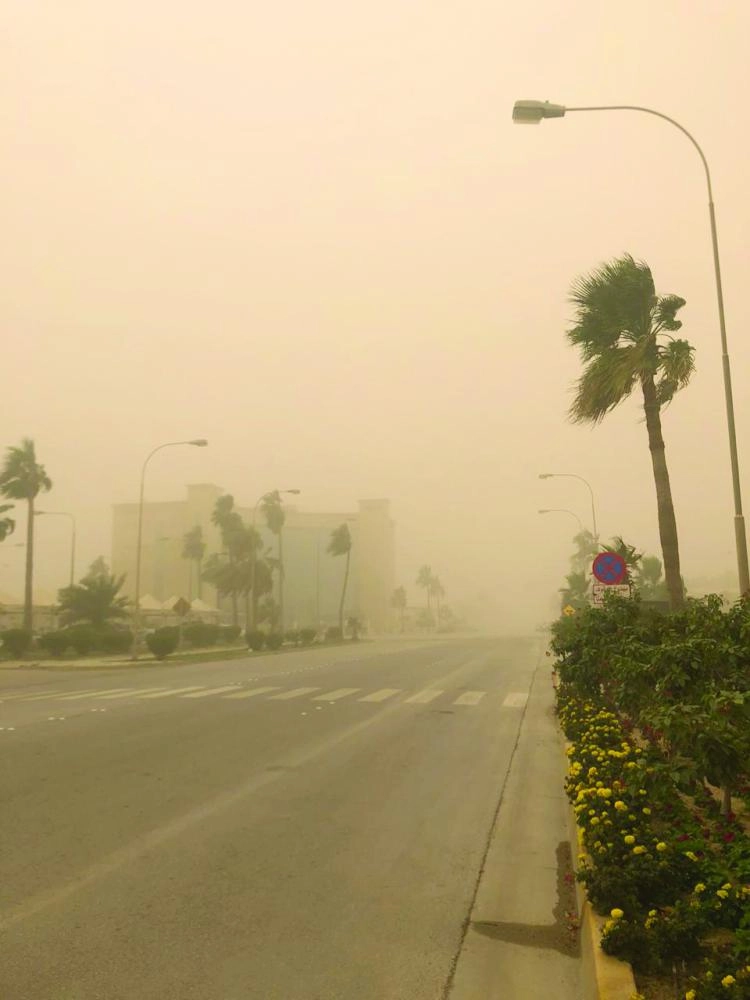 






رياح محملة بالأتربة بالشرقية