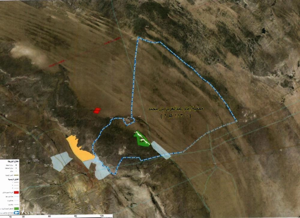 



محمية الإمام عبدالعزيز بن محمد                                             (واس)