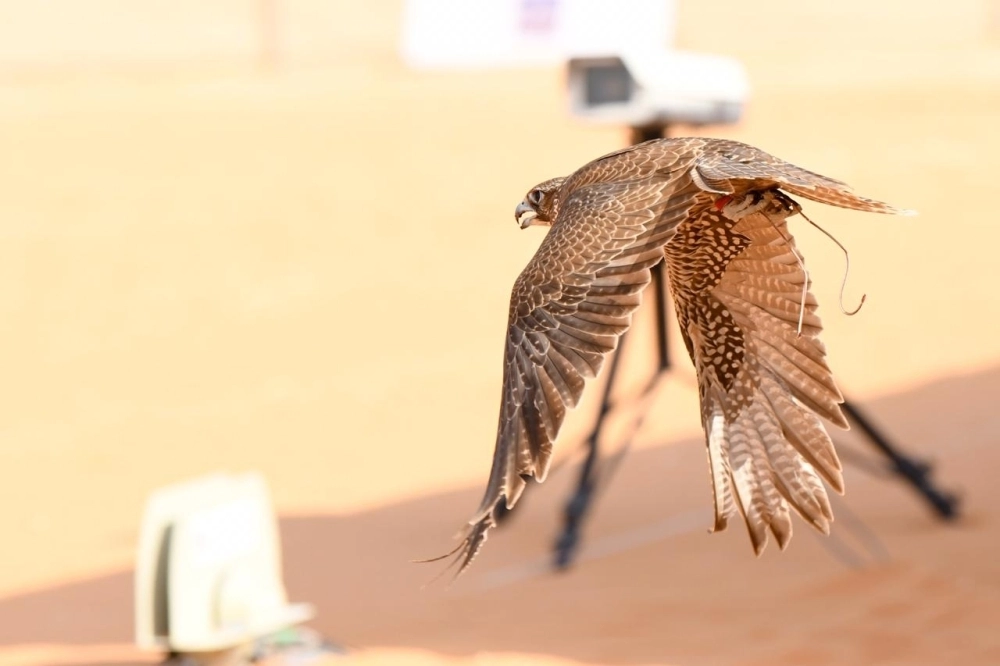 DST_5044332_1549209934_46288_44906