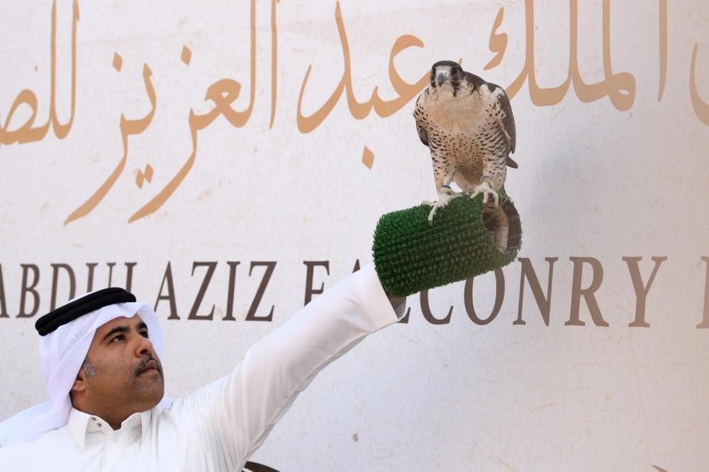 DST_5044331_1549209933_35614_48713