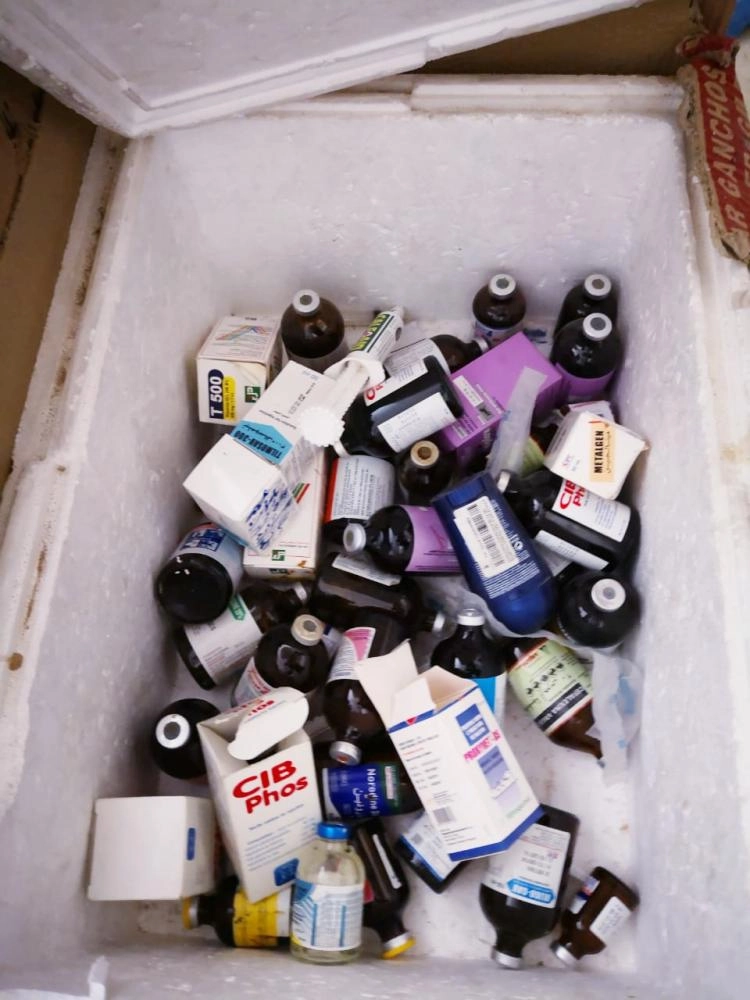 من المخالفات البيطرية (مكة)