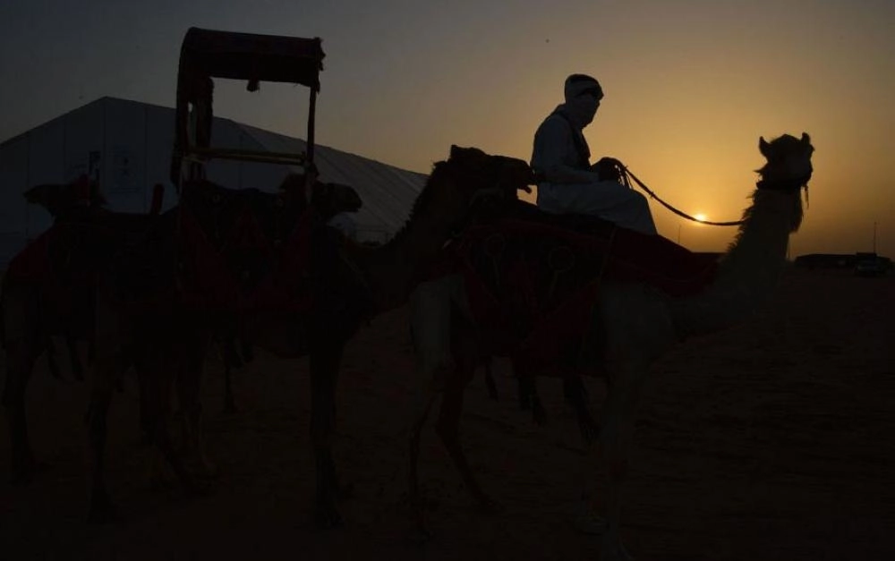 000-7789919711549436379805