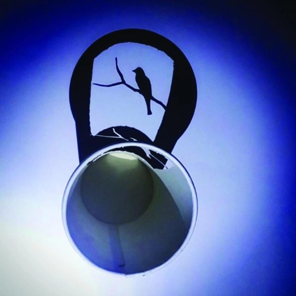 






الرسم بالظل