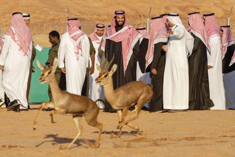 






الأمير محمد بن سلمان خلال إطلاق أحد الغزلان                                                                                                             (واس)
