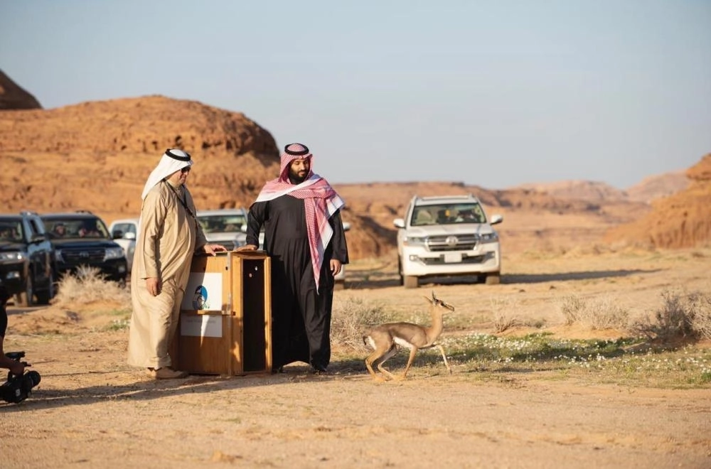 DST_5078629_Sun22_1333669595