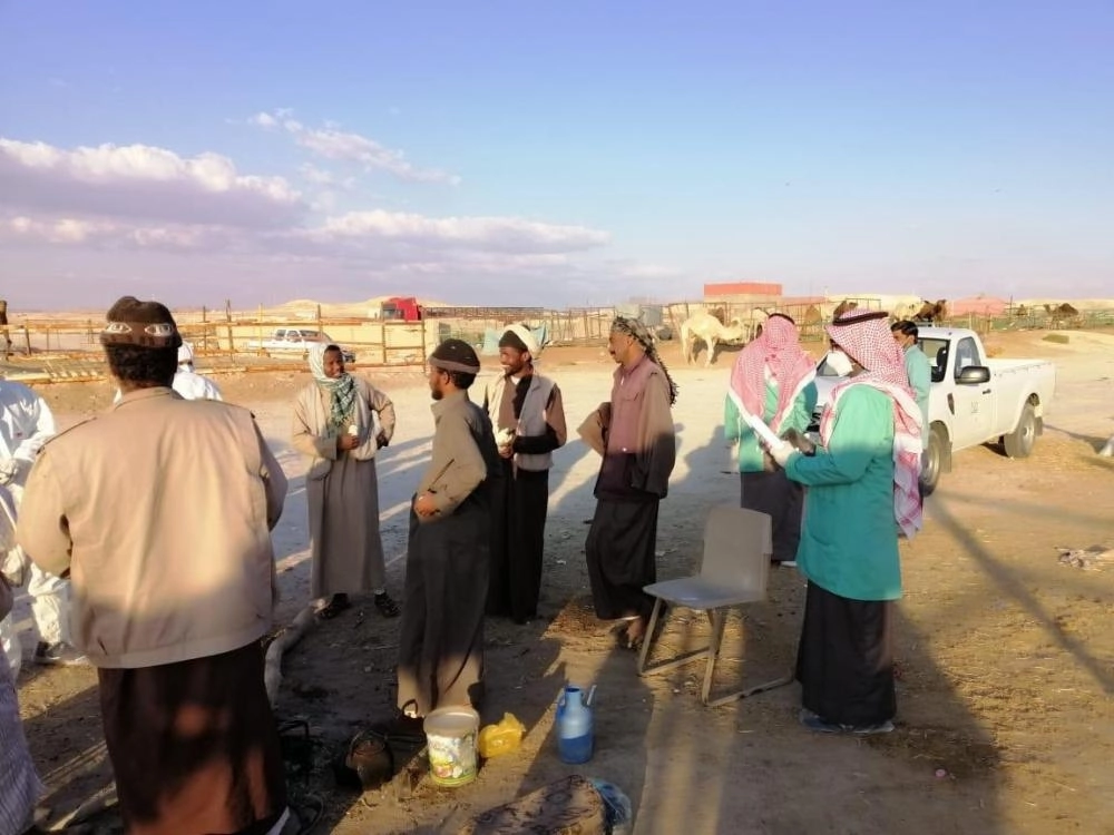 جولات رقابية في سوق الإبل بالقريات (مكة)