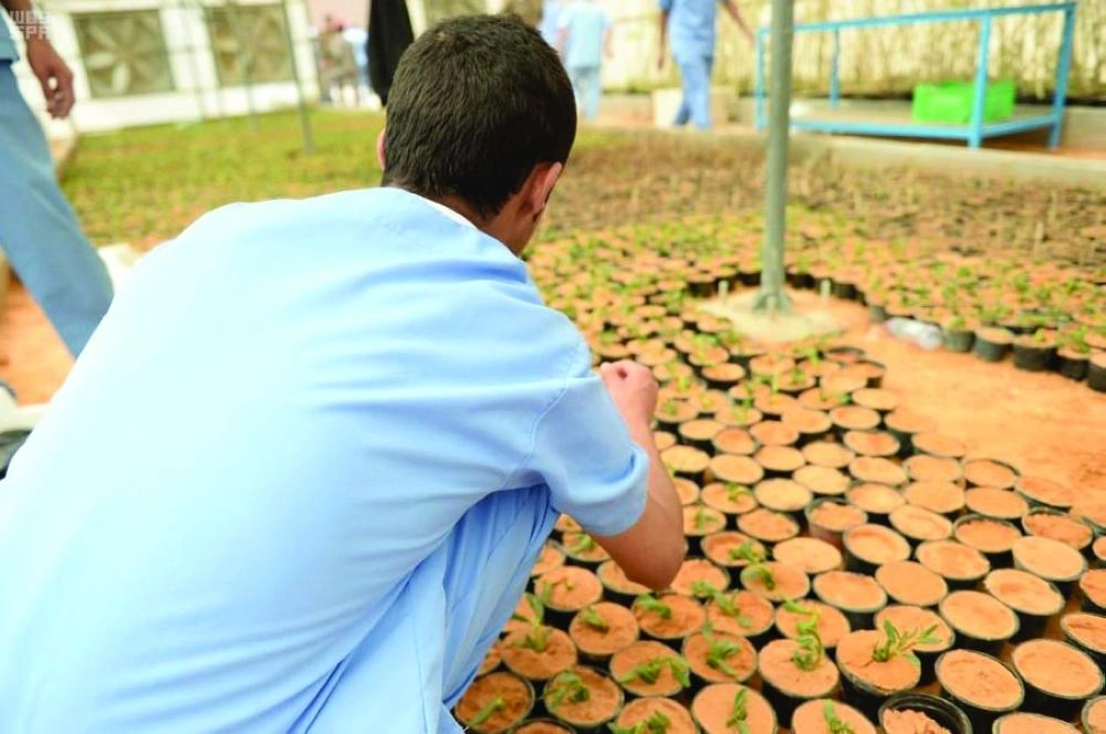 






نزلاء الإصلاحية خلال غرس الأشجار