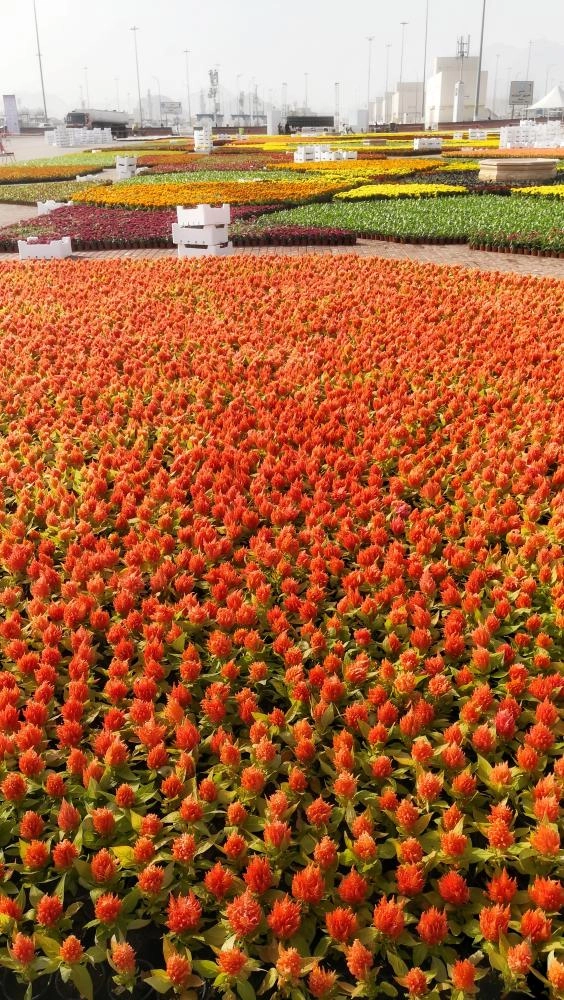 IMG_20190315_161914-01