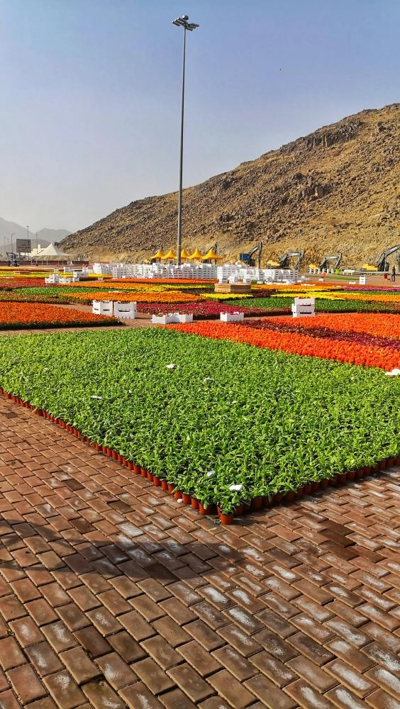 






موقع مهرجان الزهور في مشعر مزدلفة                       (أنس الحارثي)