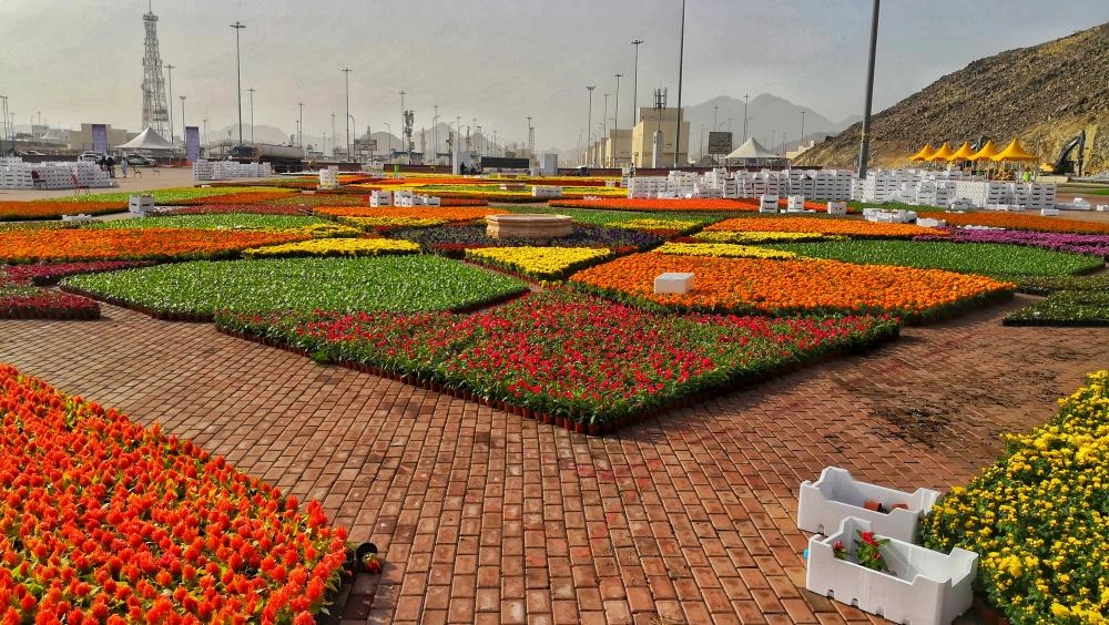 IMG_20190315_161924-01