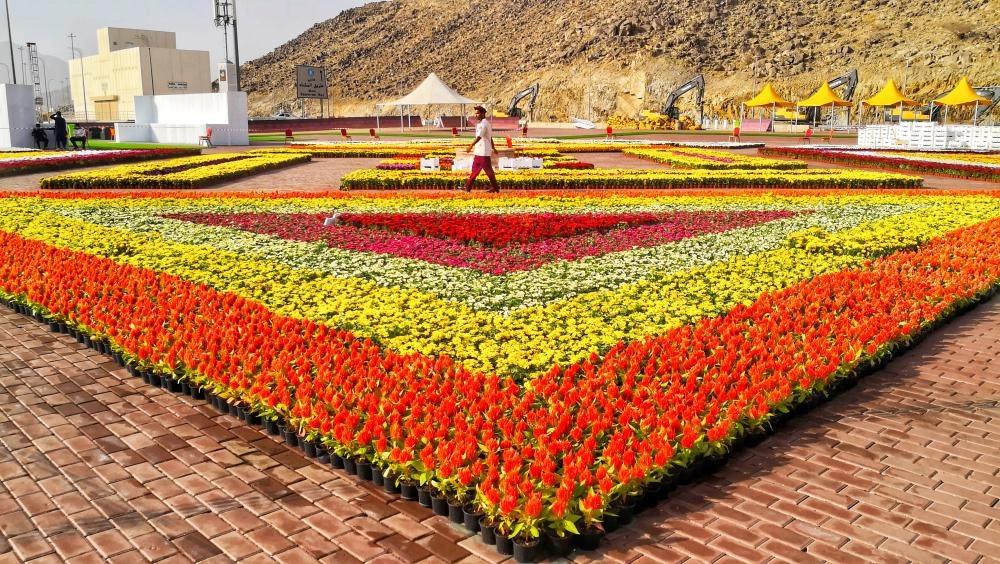 IMG_20190315_162415-01