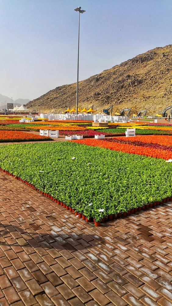 موقع مهرجان الزهور في مزدلفة (أنس الحارثي)