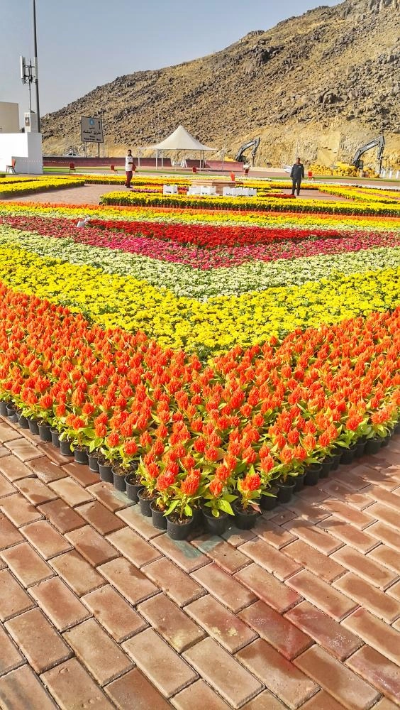 موقع مهرجان الزهور في مزدلفة (أنس الحارثي)