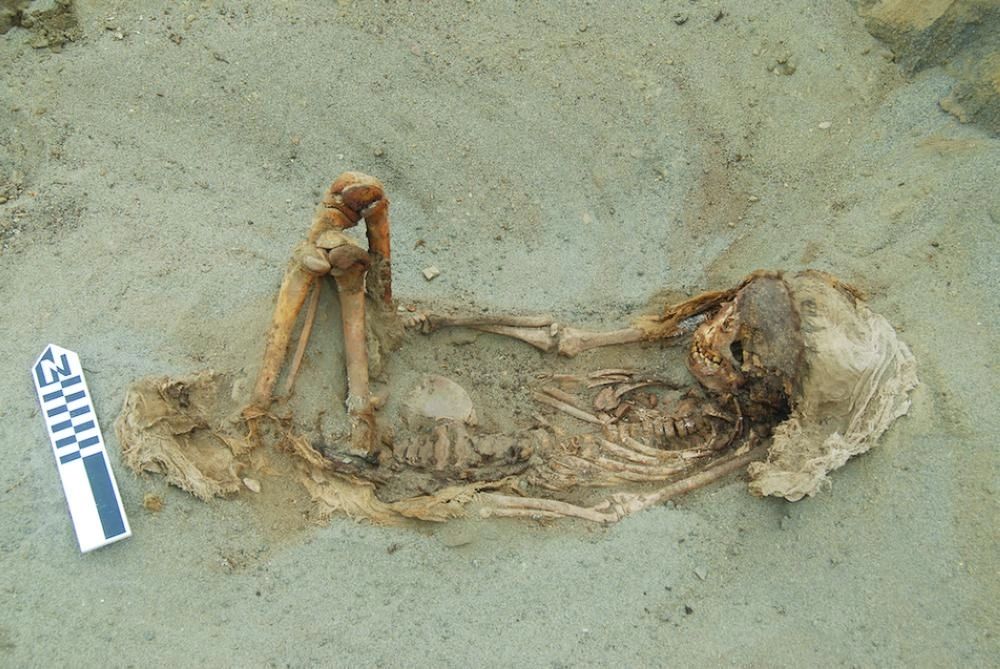 Screen Shot 2019-04-12 at 4.20.37 PM