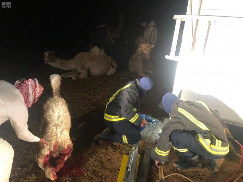 000-381897801555137516711