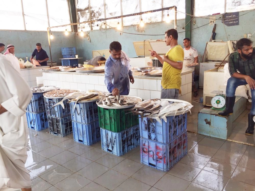 






انخفاض شراء الأسماك في رمضان                                                                                                    (مكة)