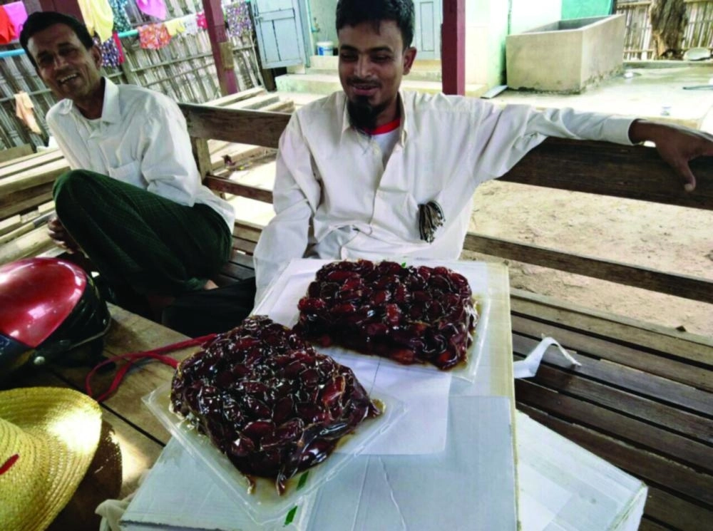 






من توزيع التمور الفاخرة                                  (واس)