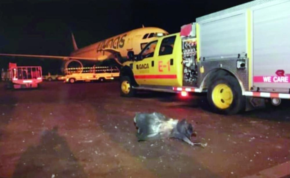 






آثار الصاروخ الحوثي في مطار أبها                                (مكة)