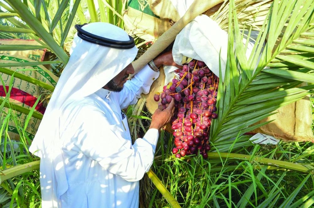 DST_5748506_Fri22_1115698738