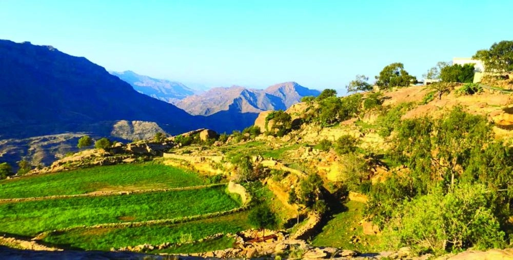 



الخضرة تحيط بالمكان