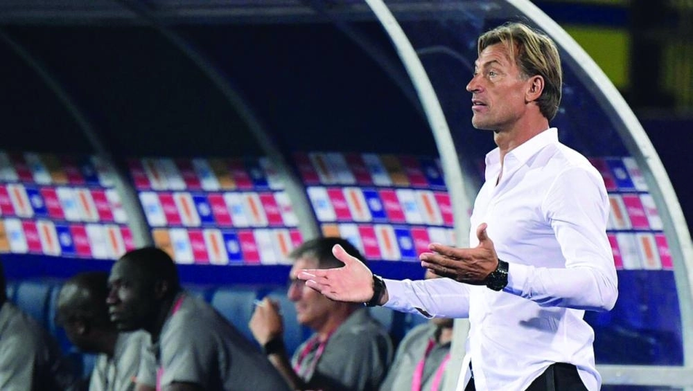 هيرفي رينارد (