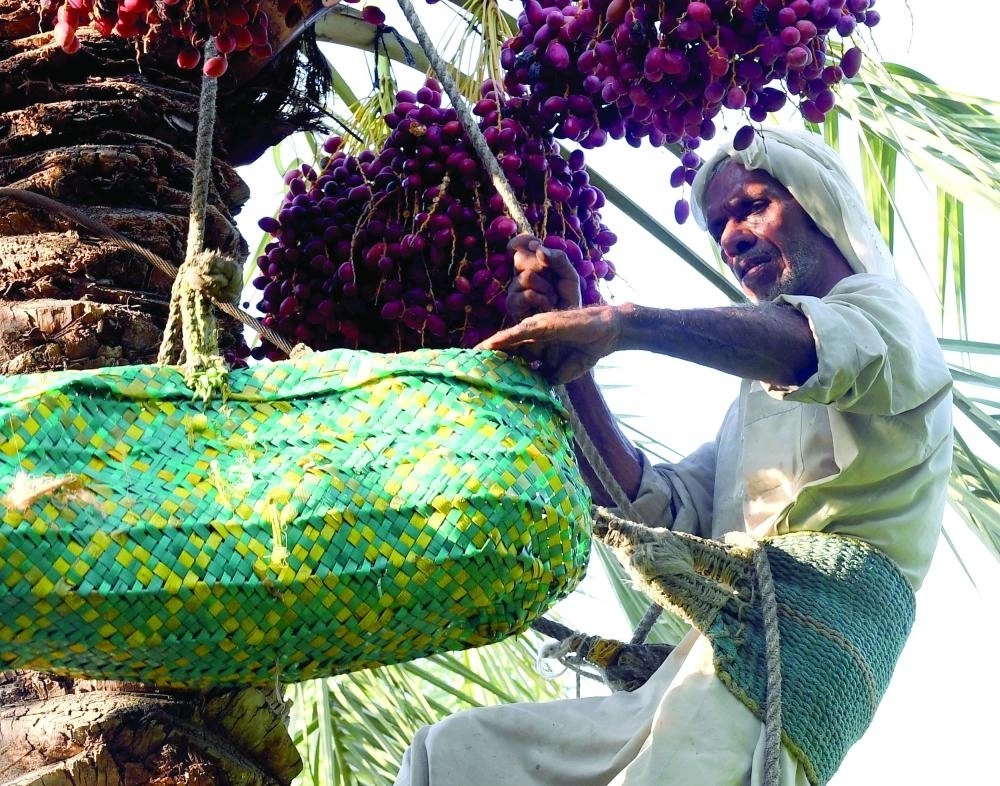 DST_6022413_Mon0_1115647816