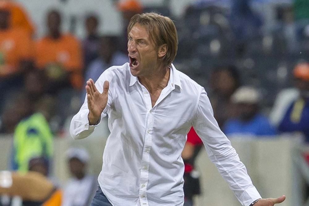 هيرفي رينارد                       (تويتر)