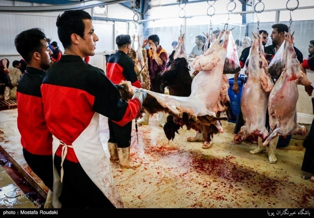 






قليلون يحتفلون بمظاهر العيد في إيران                                                    (مكة)