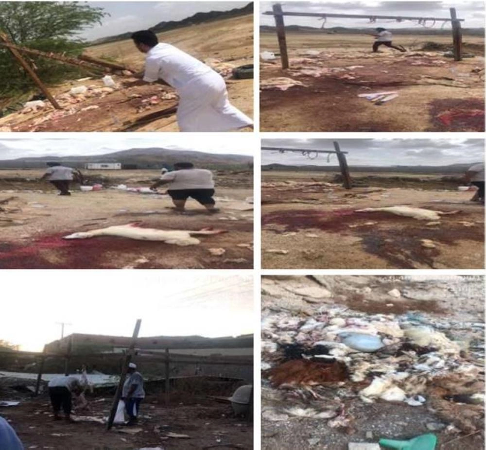 أمانة جدة تزيل 164 حظيرة عشوائية و27 مسلخاً مخالفاً