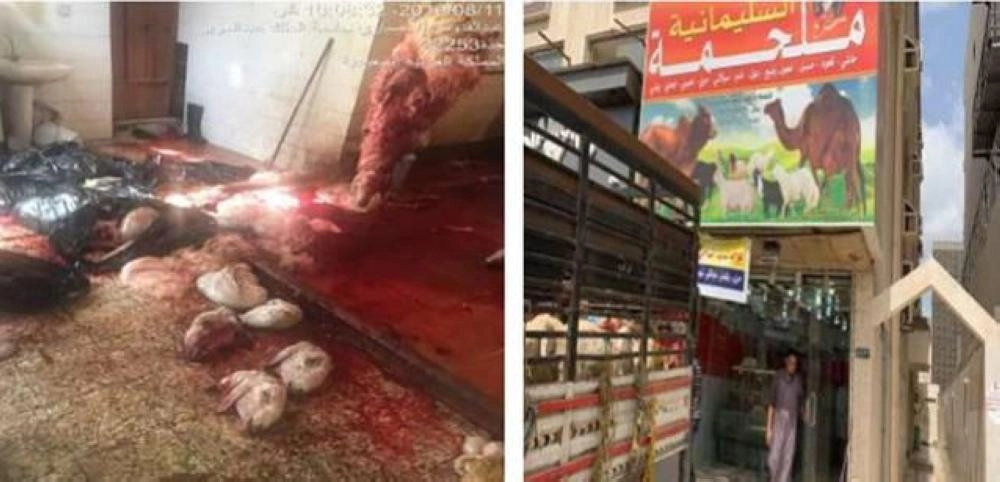 أمانة جدة تزيل 164 حظيرة عشوائية و27 مسلخاً مخالفاً